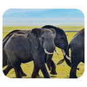 MOUSE PAD RECTANGULAR SUBLIMACIÓN