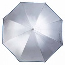PARAGUAS SILVER TROPIC