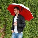 PARAGUAS SILVER TROPIC