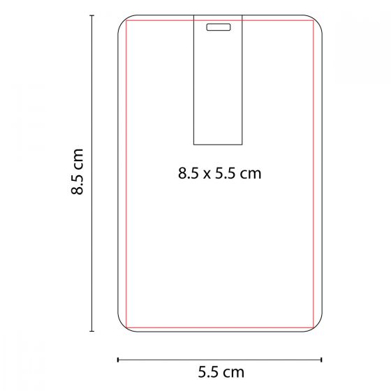 USB TARJETA AUSTEN 8 GB