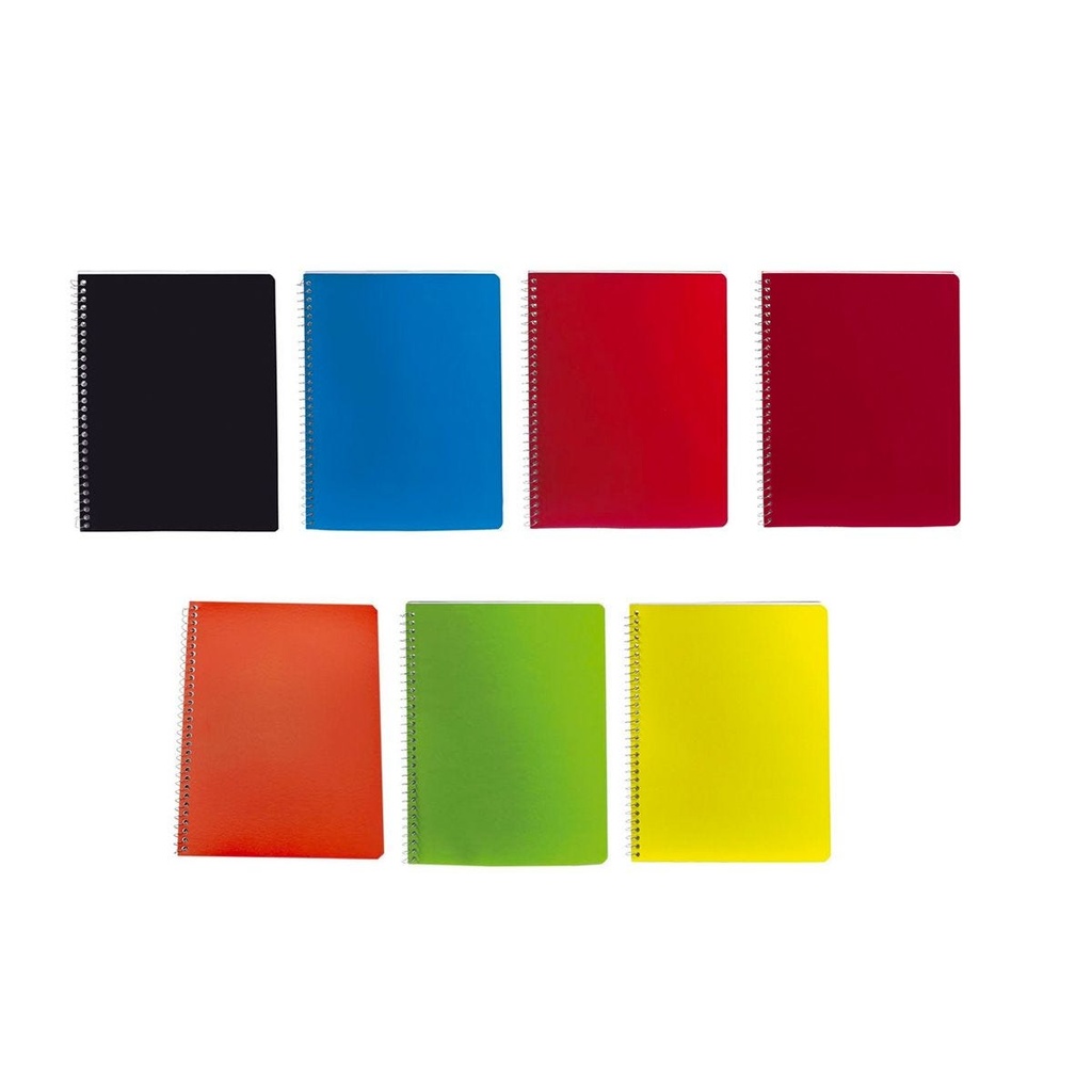 Cuaderno Profesional